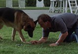 Сцена из фильма K-9: Собачья работа: Трилогия / K-9: Trilogy (1989) K-9: Собачья работа: Трилогия сцена 9