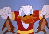 Мультфильм Чип и Дейл / Chip an' Dale (1947) - cцена 1