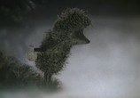 Сцена из фильма Сборник мультфильмов: Именины сердца-1 (2005) Сборник мультфильмов: Именины сердца - 1 DVDRip сцена 13