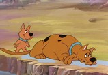 Мультфильм Скуби-Ду и Школа Вампиров / Scooby-Doo and the Ghoul School (1991) - cцена 6
