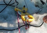 ТВ Гренландия: шёпот льда / Groenland : les murmures de la glace (2018) - cцена 6