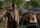 Фильм K-9: Собачья работа: Трилогия / K-9: Trilogy (1989) - cцена 9