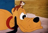 Мультфильм Чип и Дейл / Chip an' Dale (1947) - cцена 5