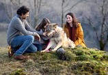Фильм Мой волк / Mystère (2022) - cцена 3