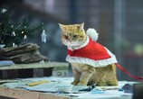 Фильм Рождество кота Боба / A Christmas Gift from Bob (2020) - cцена 3