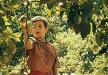 Фильм Баария / Baaria (2010) - cцена 6