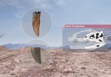 ТВ BBC: Планета динозавров / Planet Dinosaur (2011) - cцена 1