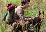Фильм Любовь и монстры / Love and Monsters (2020) - cцена 2