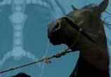 ТВ History Channel: Большая история / Big History (2013) - cцена 4
