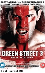 Хулиганы 3 / Green Street 3: Never Back Down (2013)
