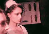 Сцена из фильма Запретная комната / The Forbidden Room (2015) Запретная комната сцена 18