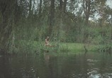 Фильм Собачье поле / Onirica (2014) - cцена 1