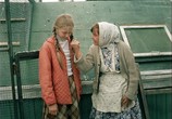 Фильм Любовь и голуби (1984) - cцена 6