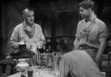 Фильм Красная пыль / Red Dust (1932) - cцена 1