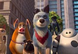 Мультфильм Союз зверей: Спасение двуногих / Pets United (2020) - cцена 3
