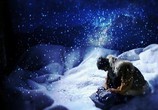 Сцена из фильма Запретная комната / The Forbidden Room (2015) Запретная комната сцена 16