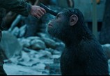 Фильм Планета обезьян: Война / War for the Planet of the Apes (2017) - cцена 1