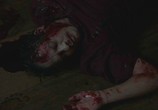 Сцена из фильма Дружелюбный зверь / O Animal Cordial (2017) Дружелюбный зверь сцена 19