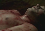 Сцена из фильма Дружелюбный зверь / O Animal Cordial (2017) Дружелюбный зверь сцена 16