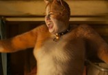 Фильм Кошки / Cats (2020) - cцена 2