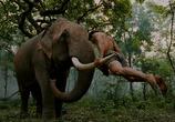 Фильм Честь дракона / Tom yum goong (2005) - cцена 2