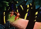 Мультфильм Чип и Дейл / Chip an' Dale (1947) - cцена 2