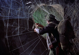 Фильм Мир без конца / World Without End (1956) - cцена 3