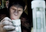 Фильм Восстание планеты обезьян / Rise of the Planet of the Apes (2011) - cцена 2