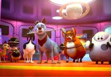 Мультфильм Союз зверей: Спасение двуногих / Pets United (2020) - cцена 2