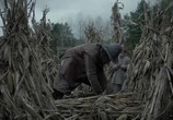 Фильм Ведьма / The VVitch: A New-England Folktale (2015) - cцена 2