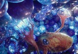 Фильм Валериан и город тысячи планет / Valerian and the City of a Thousand Planets (2017) - cцена 4