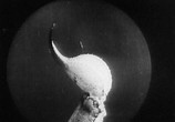 Фильм Золотой Век / L' Age D'or (1930) - cцена 3