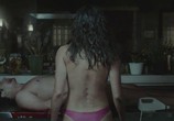 Сцена из фильма Дружелюбный зверь / O Animal Cordial (2017) Дружелюбный зверь сцена 21