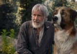 Фильм Зов предков / The Call of the Wild (2020) - cцена 1