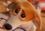 Мультфильм Королевский корги / The Queen's Corgi (2019) - cцена 1