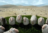 Мультфильм О овцы! / Oh Sheep! (2012) - cцена 1