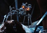 Сцена из фильма Трансформеры: Месть падших / Transformers: Revenge of the Fallen (2009) Трансформеры: Месть падших сцена 7