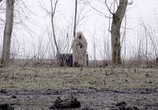 ТВ Война снайпера / A Sniper's War (2018) - cцена 1