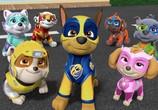 Мультфильм Щенячий патруль: Мегащенки / Paw Patrol: Mighty Pups (2019) - cцена 1