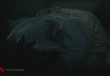 Фильм Земля вампиров 2 / The Stakelander (2016) - cцена 1
