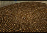 Мультфильм Потерянный Орех / Gone Nutty (2002) - cцена 2