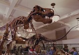 ТВ Динозавры живы! / Dinosaurs Alive! (2009) - cцена 2