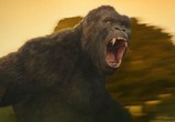 Фильм Конг: Остров черепа / Kong: Skull Island (2017) - cцена 2