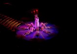 Музыка Kylie Minogue - Aphrodite: Les Folies Tour 2011 (2011) - cцена 5