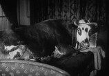 Фильм Золотой Век / L' Age D'or (1930) - cцена 7