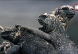 ТВ Земля. Природа нашей планеты / Earth: The Nature of our Planet (2018) - cцена 8