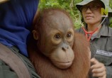 ТВ Экватор: линия жизни / Equator. The Line of Life (2018) - cцена 4