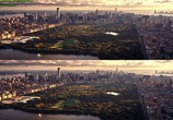 Сцена из фильма Путешествие по национальным паркам 3D / National Parks Adventure (2016) Путешествие по национальным паркам 3D сцена 11