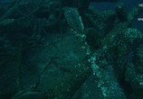ТВ Джереми Уэйд: Тайны океана / Mysteries of the Deep (2020) - cцена 2