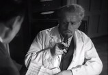 Сцена из фильма Ворон / Le corbeau (1943) Ворон сцена 25